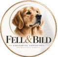 logo (1)